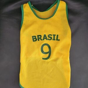 Dog / Puppy Shirt Yellow and Green Brasil Jersey #9